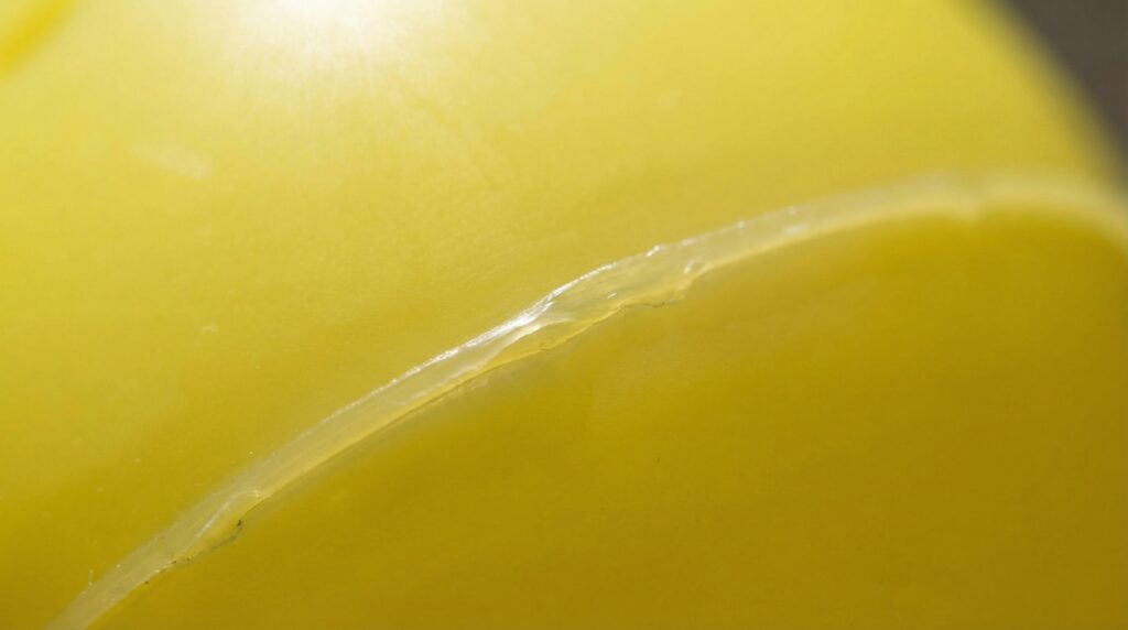 What Does a Pickleball Look Like 6